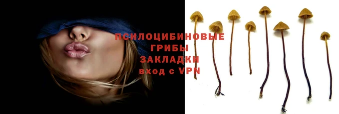 гашишное масло Алзамай