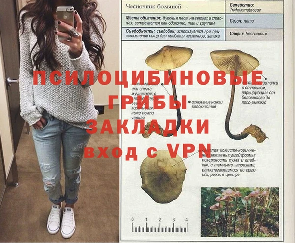 дживик Алексеевка