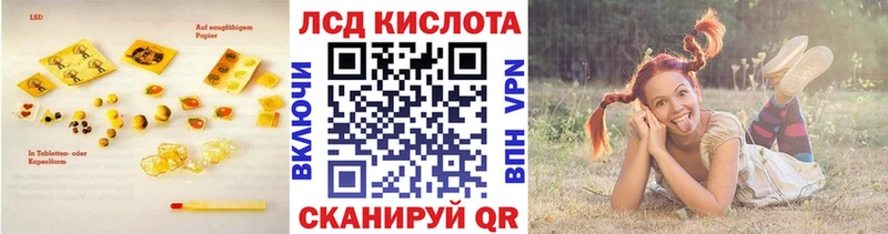 Лсд 25 экстази ecstasy  где можно купить   Зеленогорск 