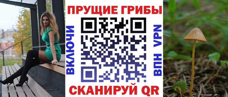мориарти какой сайт Зеленогорск Галлюциногенные грибы Psilocybe что такое